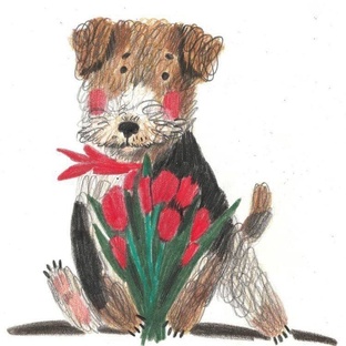 Хвостики ищут дом.