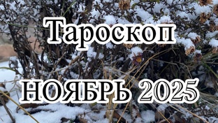 ТАРОСКОПЫ НОЯБРЯ 2025
