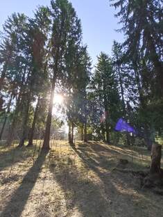 Природа и сад.