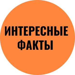 Интересное фрукты и овощи