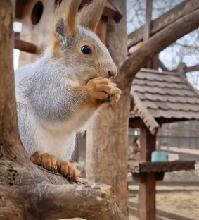 Народные приметы