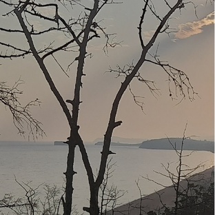 Видео. Шаманы на страже.