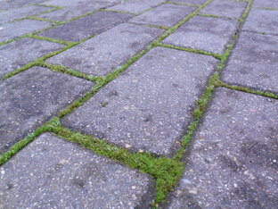 Дорожки, площадки, мощение