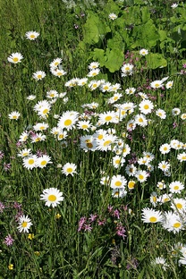 Это интересно 