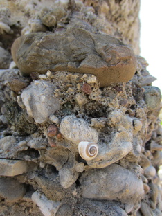 Альпийские, каменистые и прочие горки и не горки