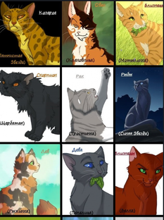 Коты - Воители