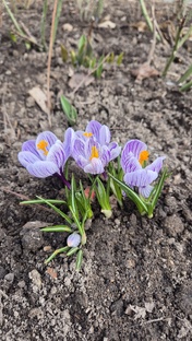 Переезд в Подмосковье