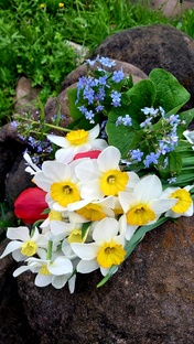 Дачница на минималке