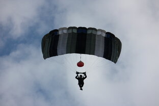 Веселые видео