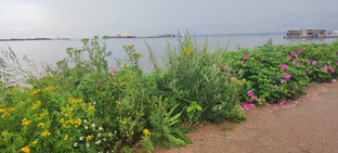 Что вокруг?