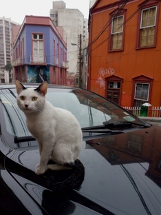 9 стран Южной Америки. Как путешествовать по ЮА, лайфхаки, маршруты, места