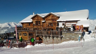 Горные лыжи