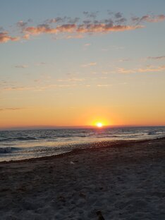 Винодельня с нуля.