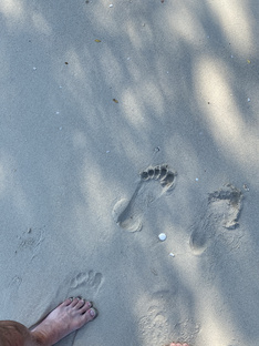 Путешествия 