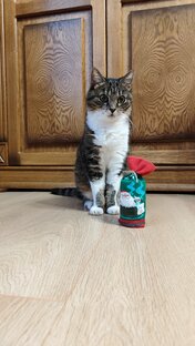 Делаем игрушки 