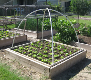 Полезные лайфхаки, которые облегчат труд садовода