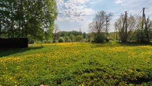 Огород, дача, природа