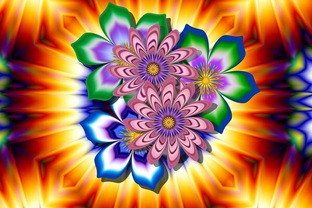 СП "Цветочный калейдоскоп"