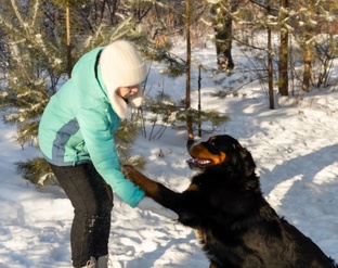 Мир глазами собак