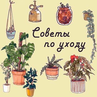 Советы по уходу за растениями