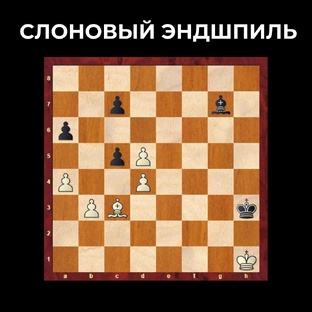 Слоновый эндшпиль 