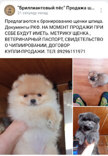 В поисках семьи