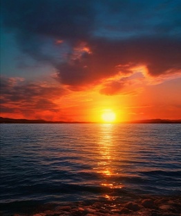 Природа и животные 