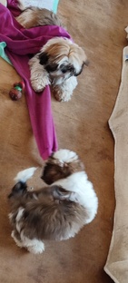 Играем и развиваемся!