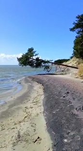 Балтийское море. Заметки брата из Калининграда.