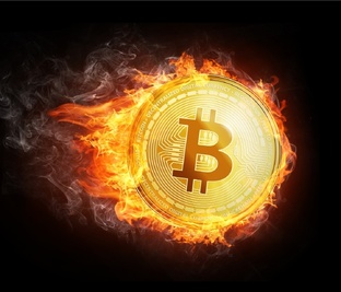 Главные темы