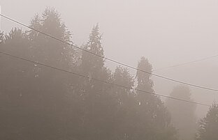 Книги под диктовку Демонов