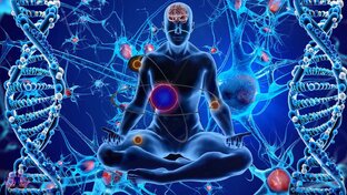 Питание: подход 2.0