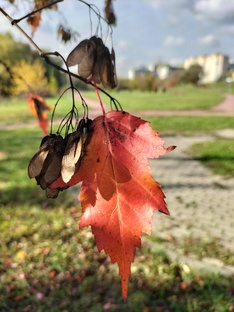 ОТЧАЯНИЕ? ПРОЧЬ!