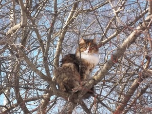 Улыбнитесь
