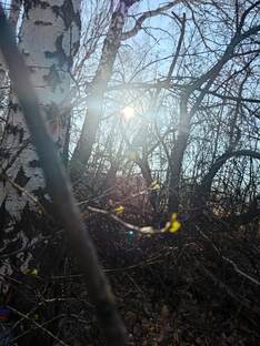 Духовный путь развития личности