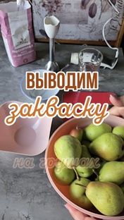 Выведение закваски на🍐