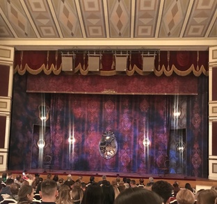       Приглашаю в театр 🎭 