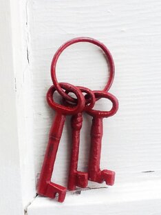 Организация бизнеса