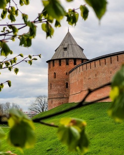 Новгородская область