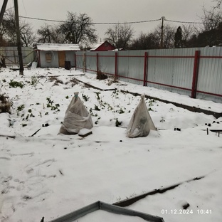 Огородный сезон 2025 года