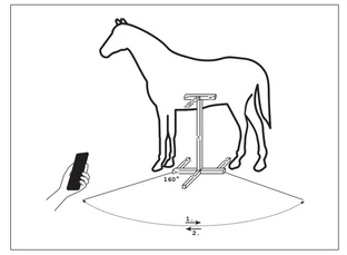 ПолитИнформация, все выпуски