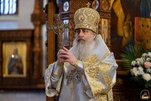 Цитата дня