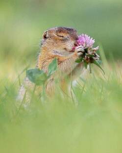 Безответная любовь...