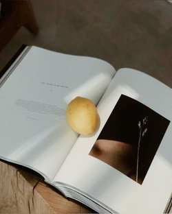 Книжная полка 