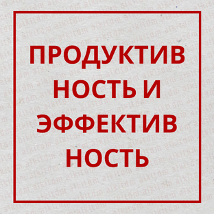 ПРОДУКТИВНОСТЬ И ЭФФЕКТИВНОСТЬ