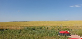 Путешествия