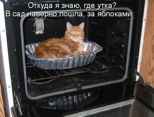 Смех. Юмор.Позитив