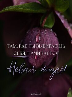 Дайджест 