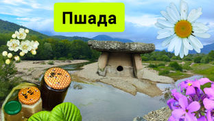 Пшада / Архипо-Осиповка 