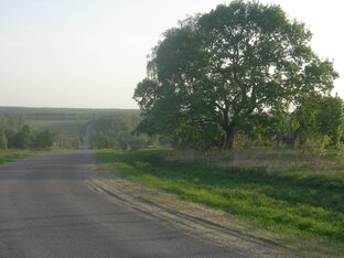 Клинско-дмитровская гряда